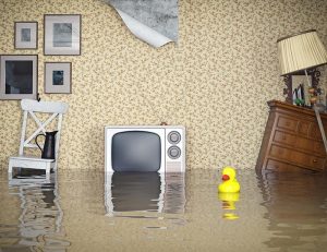 disastri alluvionali in casa